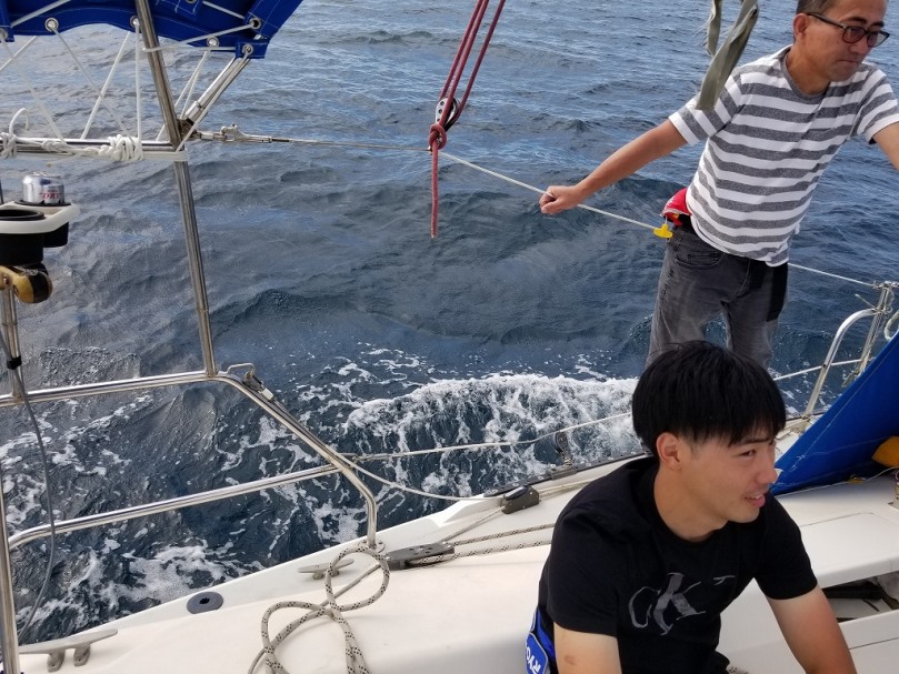 パッシブな日(5)の画像