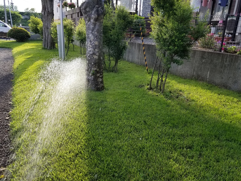 芝へ散水