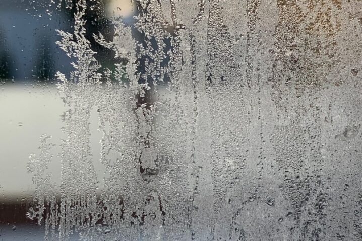 11-12氷結の画像