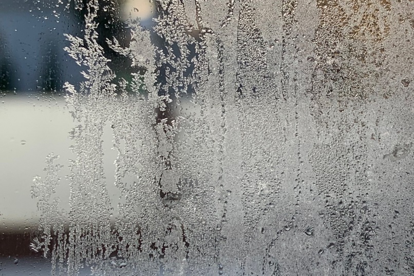 11-12氷結の画像