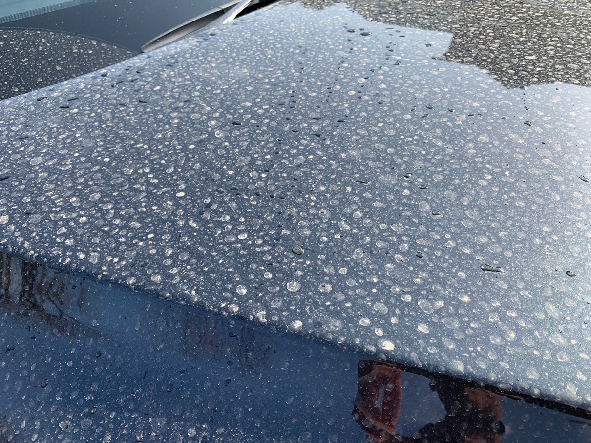 黄砂でボンネット真っ白の画像