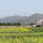 黄砂で霞む今朝の岩手山の画像