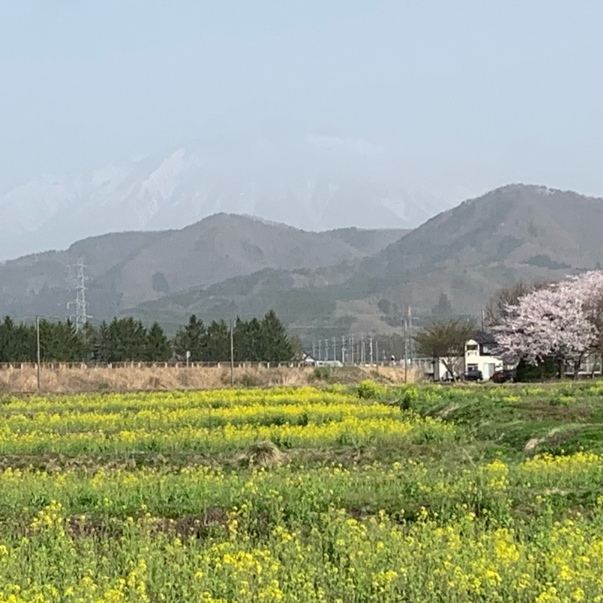 黄砂で霞む今朝の岩手山