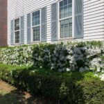 基礎を見えなくする植栽の画像