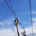 電線用鳥害対策 (1)の画像