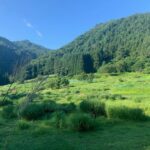岩手県旧川井村山間の風景の画像