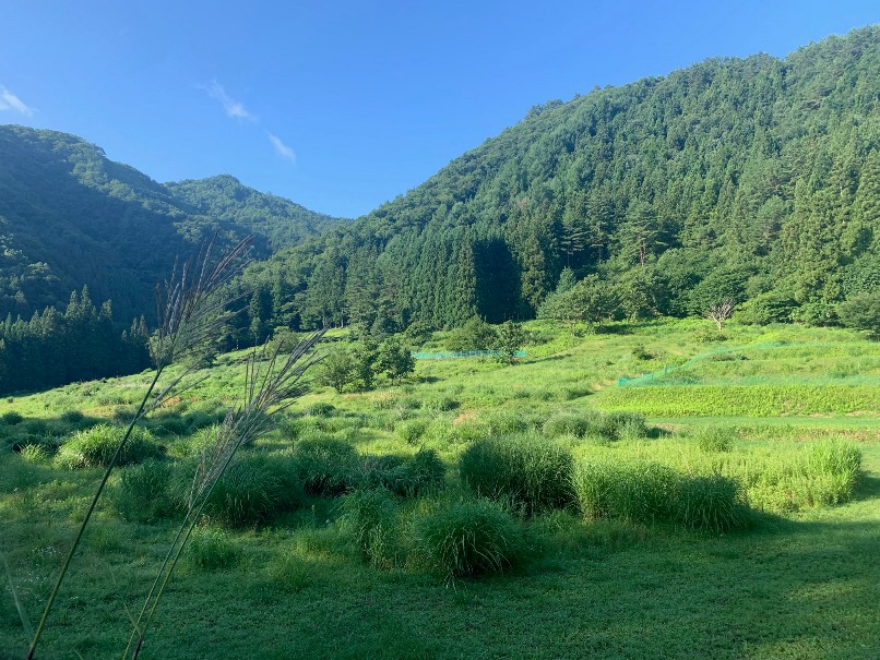 岩手県旧川井村山間の風景の画像