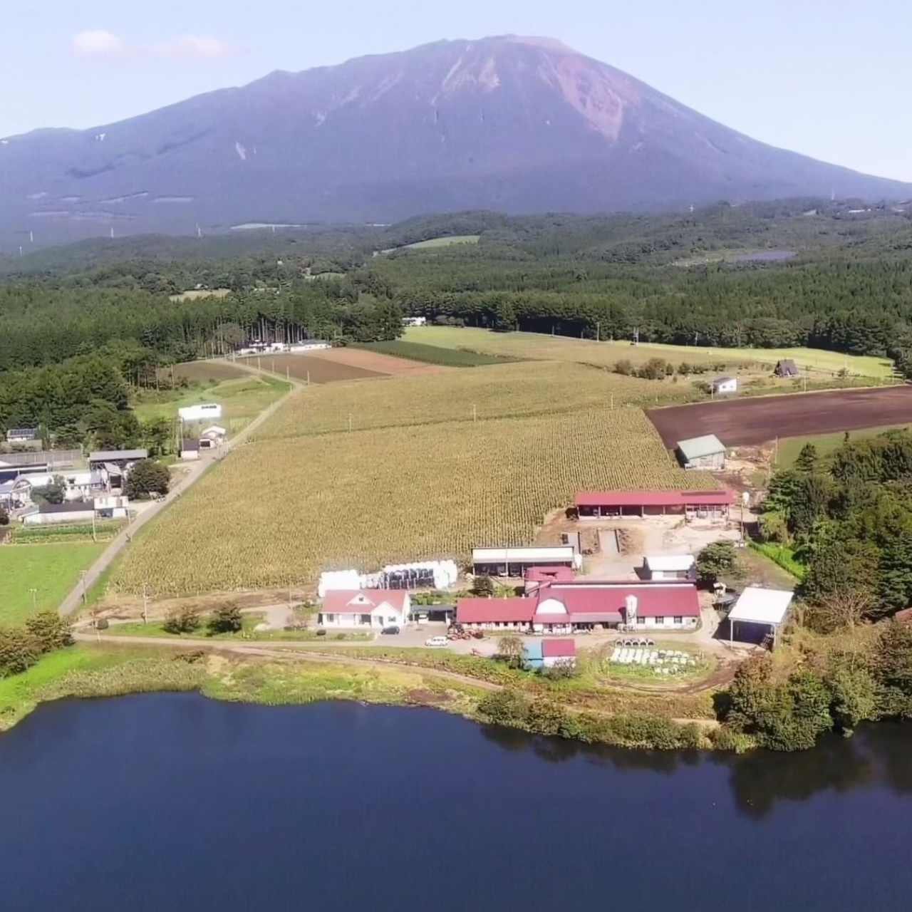 岩手県滝沢市水辺の家(1)の画像