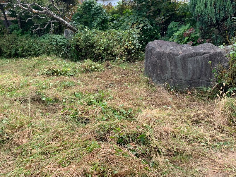 遺石の画像
