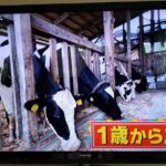 ポツンと一軒家に使用された写真の画像