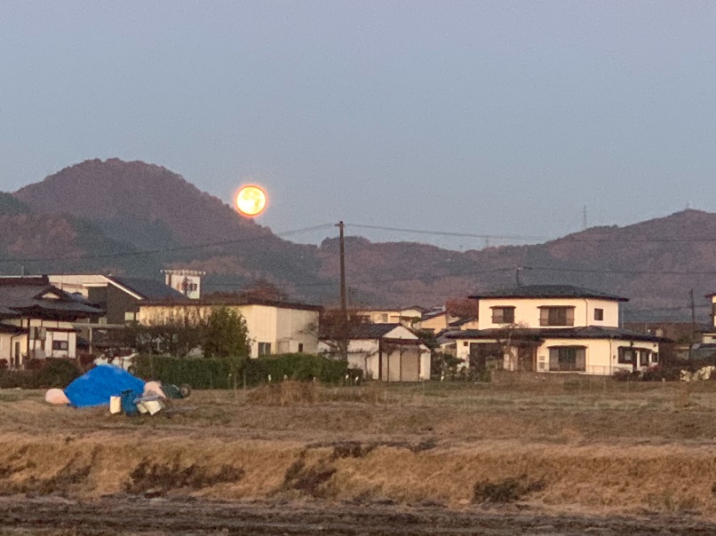 朝のムーンセットの画像
