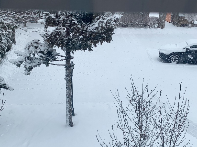 岩手滝沢で一回目の雪かきの画像