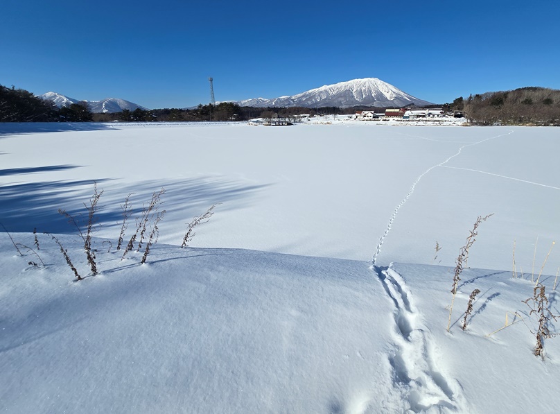 雪原の足跡が・・の画像