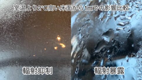 sites/2/2025/03/e3b2b91fe1223413545dec33049a0140-485x273.jpgの画像