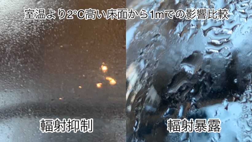 sites/2/2025/03/e3b2b91fe1223413545dec33049a0140.jpgの画像