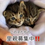 sites/2/2025/05/a7e57e8a8b642889308c08fbd1d896ec-150x150.jpgの画像