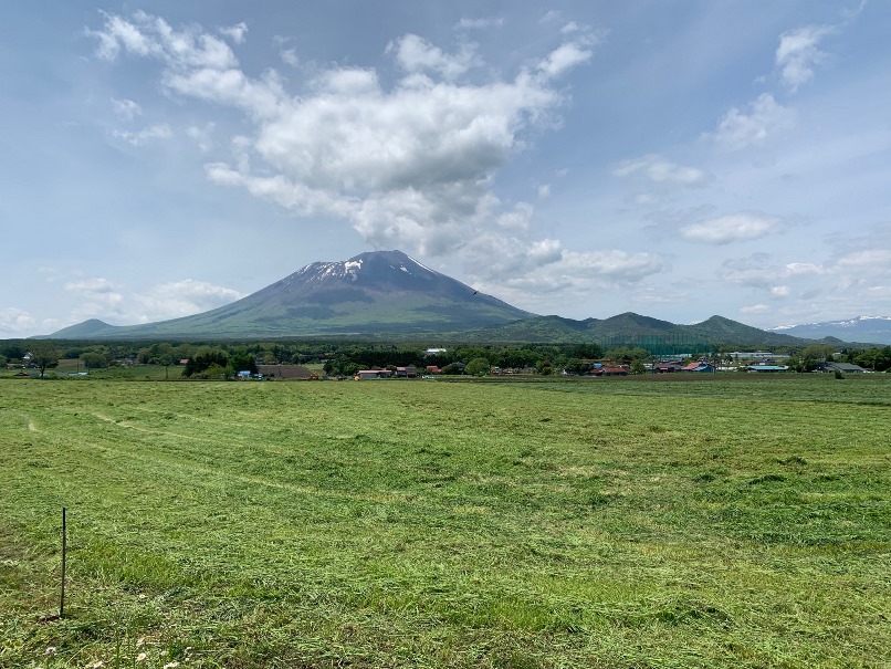 sites/2/2025/05/d5bad936576e42771c783e41ea4ff1e8.jpgの画像