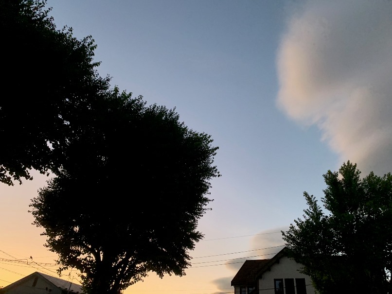 夕空の画像