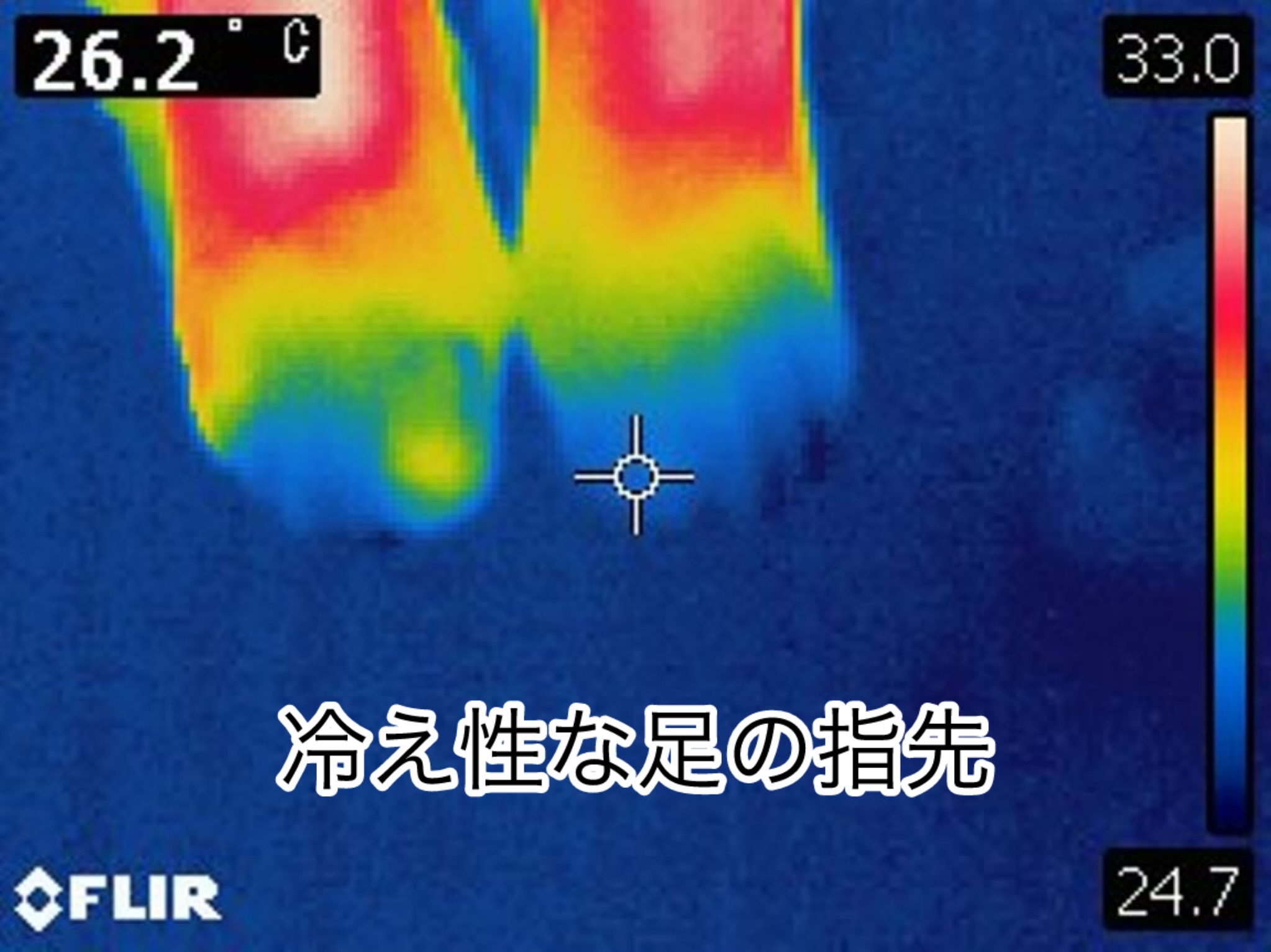 sites/2/2025/10/8aa52159abf9163aa668f45ea2b11ebc.jpgの画像