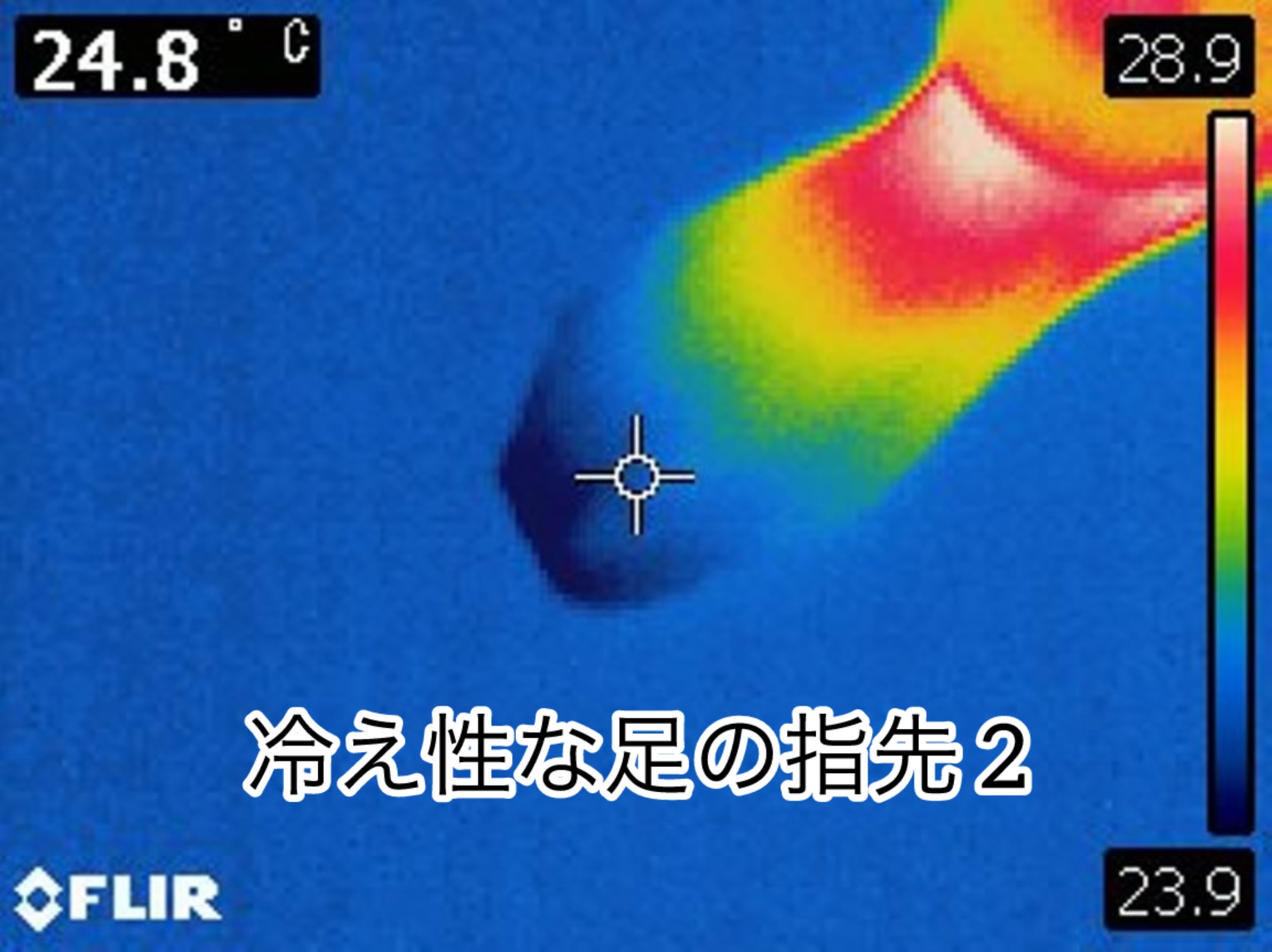 sites/2/2025/10/aefdfe9b200d72e52cff920b1ca49790.jpgの画像