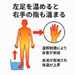 sites/2/2025/10/bd601a77db3de011f0f1d8277fdf5d0a-150x150.jpgの画像