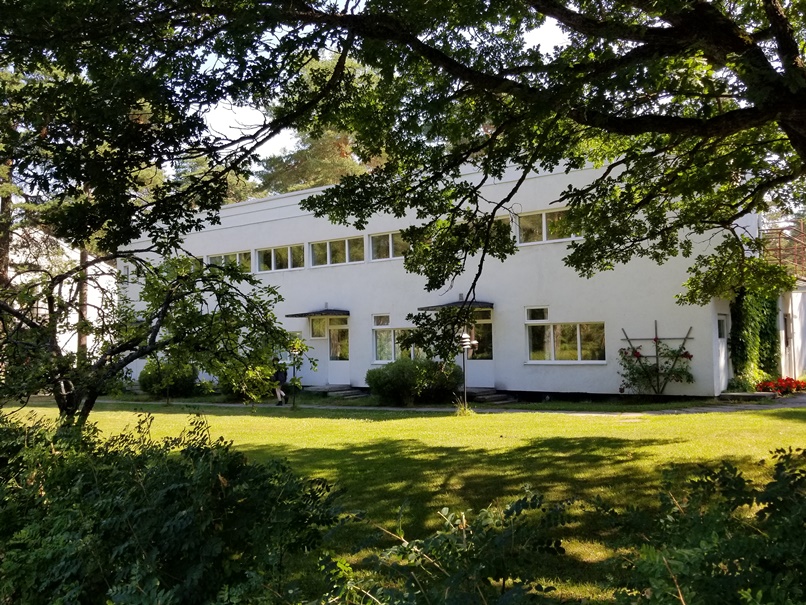 パイミオサナトリウム (1)の画像