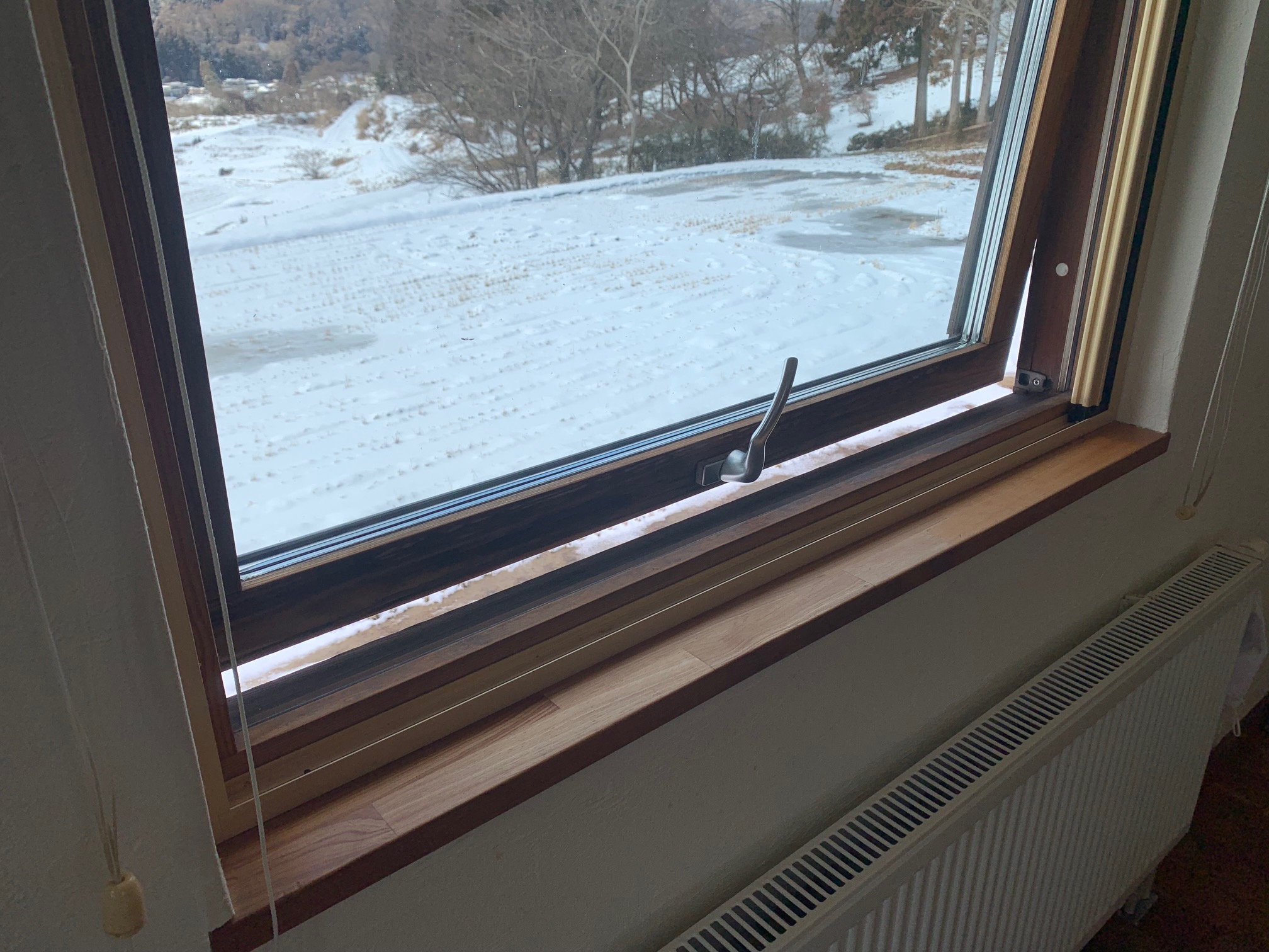 sites/2/2026/01/0e806cb7dabc5cd265609794c2d075b8.jpgの画像