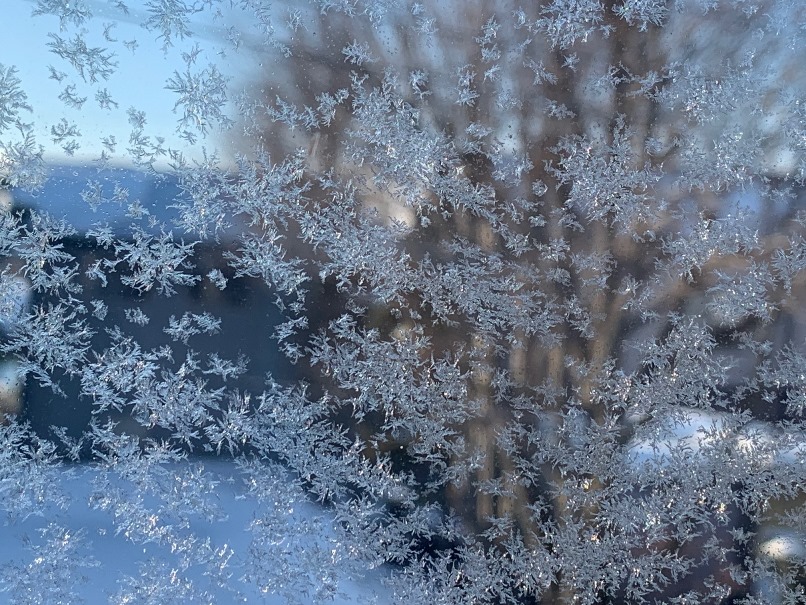 sites/2/2026/01/12fe70a1b9c684f0ef28d86522e04b91.jpgの画像