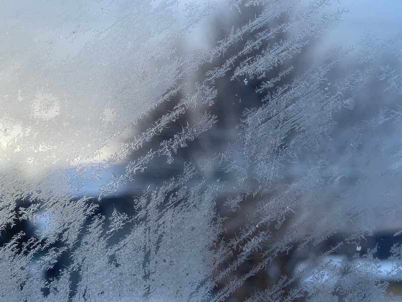 sites/2/2026/01/2a20d01f4c29619015e8464bc5167970.jpgの画像