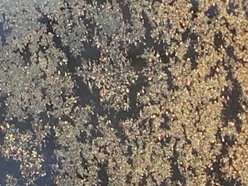 sites/2/2026/01/74dcc596f8c9ae66c39ec8618daa0408.jpgの画像