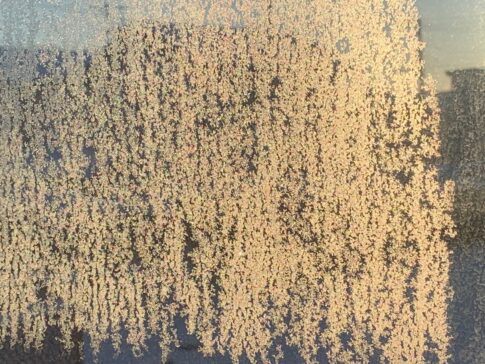 sites/2/2026/01/82505a7f9a8b713f4492516bc0586480-485x364.jpgの画像