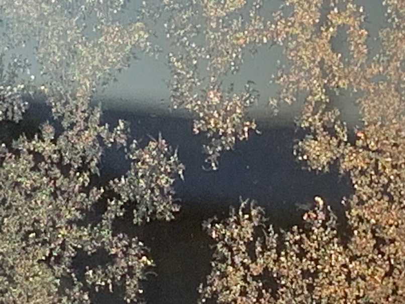 sites/2/2026/01/e7cd48623b72b3863b77fa9b09aa7aa6.jpgの画像