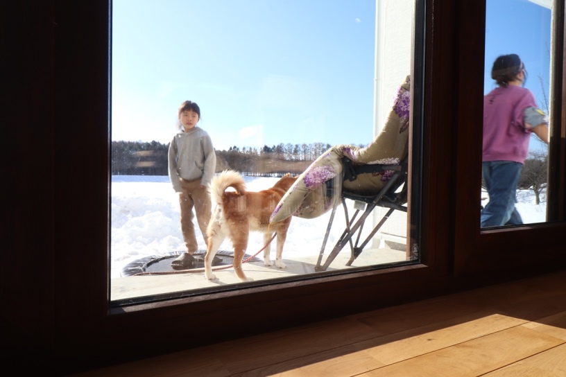 sites/2/2026/03/19916e8d3ce6c239054b5f1ad2241a05.jpgの画像