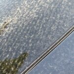 sites/2/2026/04/037ccaaa8d253d08042a122dd8caf299-150x150.jpgの画像