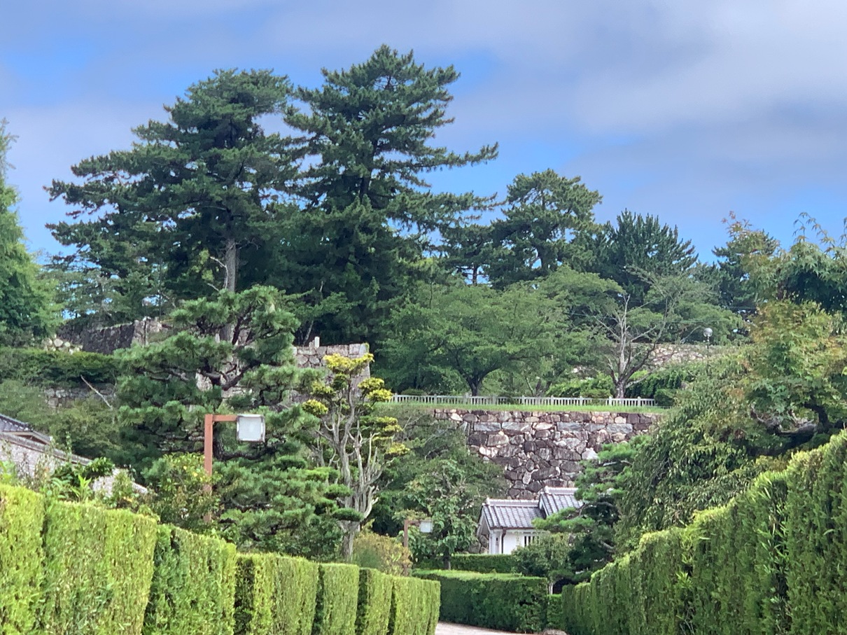 石畳の道の先に松坂城跡の石垣。緑と石だけで構成された風景の画像