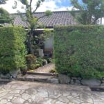 生垣の切れ目から前庭が覗く。鉢植えや室外機——「暮らし」がそこにあるの画像