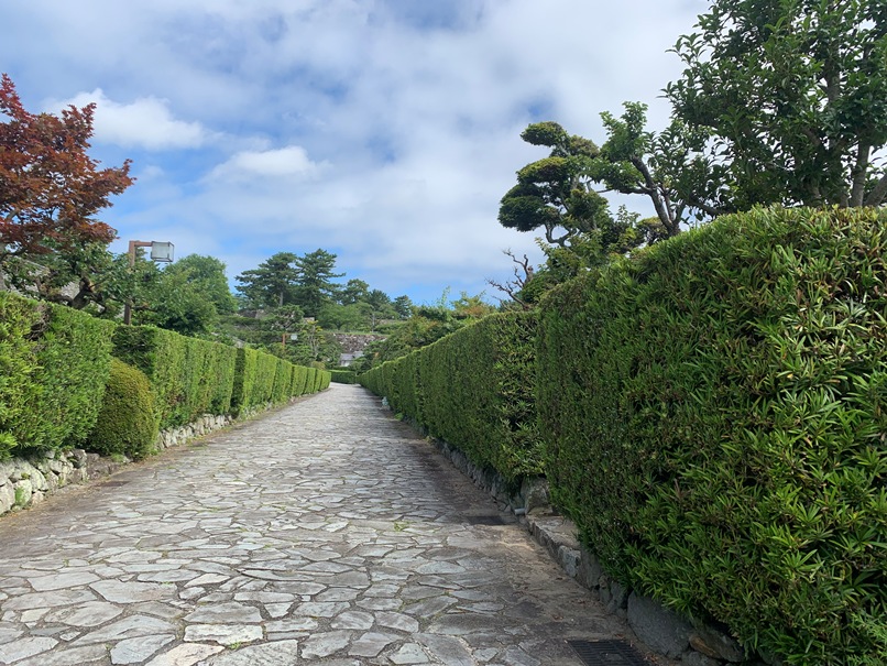 松坂城跡のふもと、殿町。石畳の両側に槙の生垣がまっすぐ続くの画像