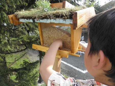 野鳥食堂の画像