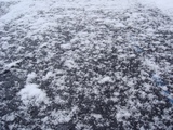 融雪比較写真右の画像
