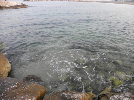 マルセイユの海岸の画像