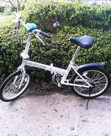 P505iS0019726560.jpgの画像