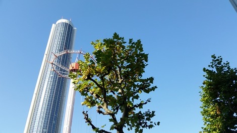 東京の画像