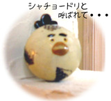 シャチョウの画像