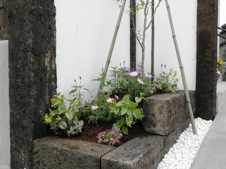 現場の寄せ植え♪の画像