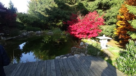 日本庭園？ (1)