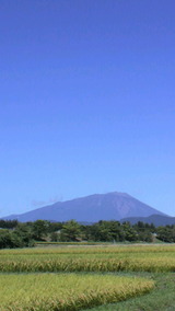 2c8c09e4.jpgの画像