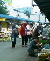 P505iS0022282484.jpgの画像