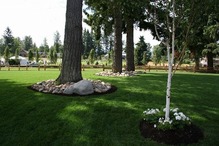 アメリカの家の芝 (3)の画像