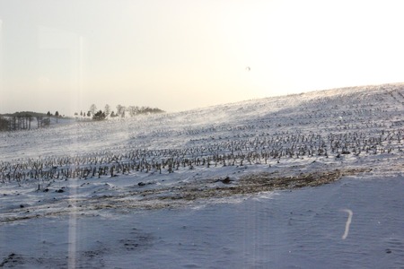 地吹雪の画像