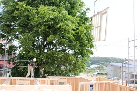 住宅フレーミング①の画像
